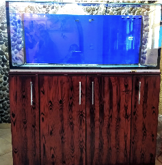 Modelo SB360 con mueble